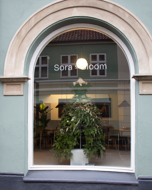 UDSOLGT: Foredrag og byvandring